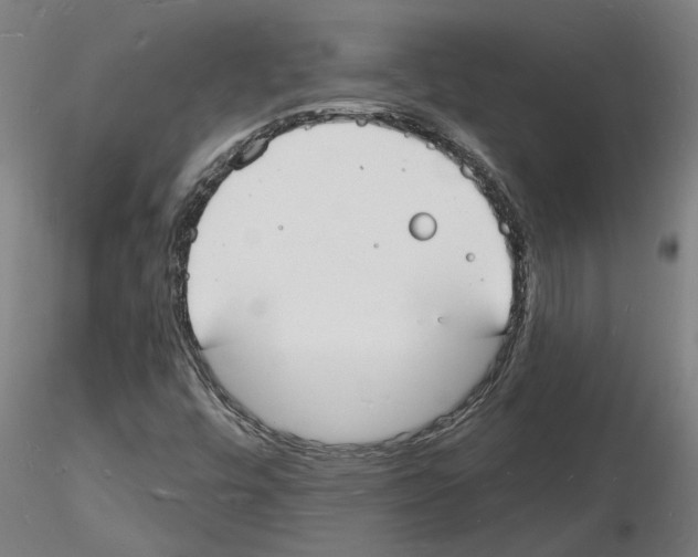 X0000116131448201001041001