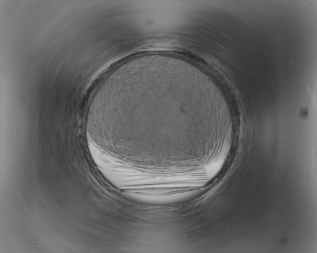 X0000116131449201001041001