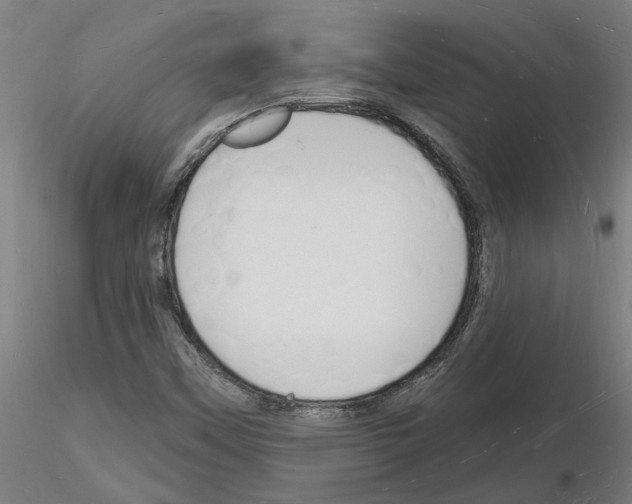 X0000116131451201001041001