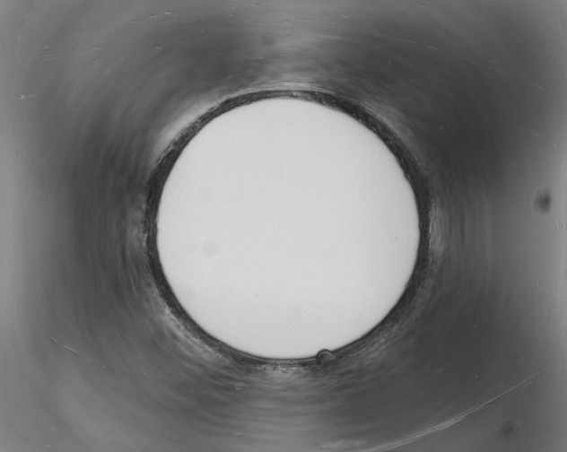 X0000116131452201001041001