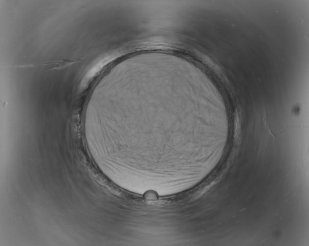 X0000116131453201001041001