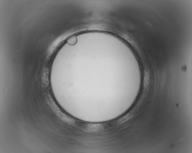 X0000116131454201001041001