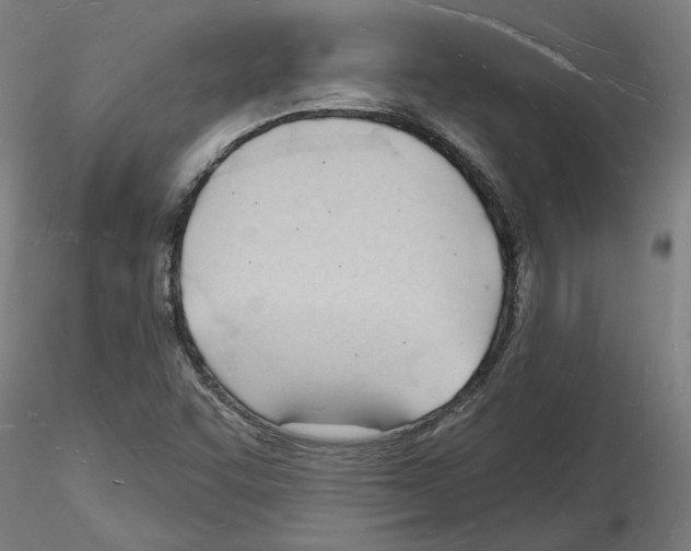 X0000116131455201001041001