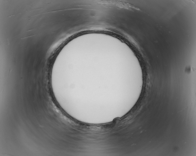 X0000116131456201001041001