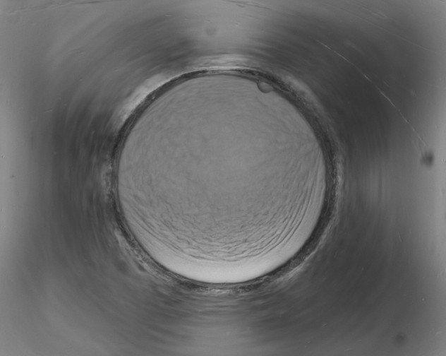 X0000116131457201001041001