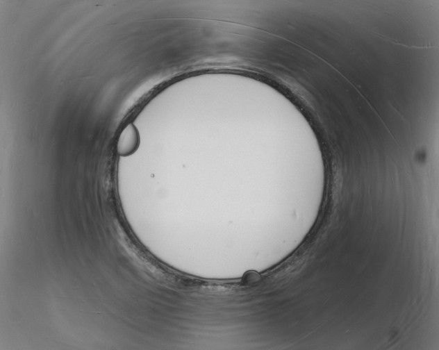 X0000116131458201001041001