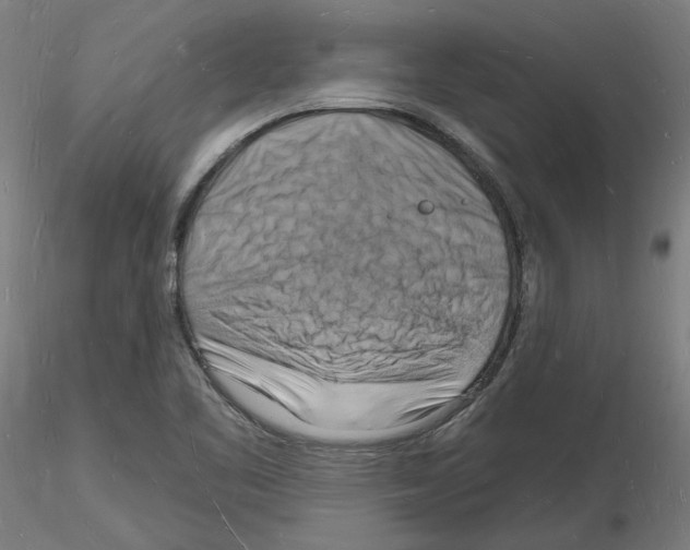 X0000116131461201001041001
