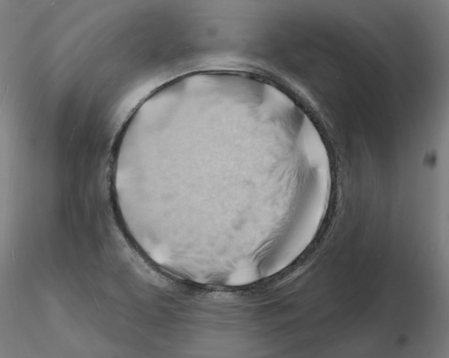 X0000116131463201001041001