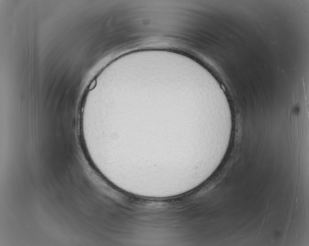 X0000116131467201001041001