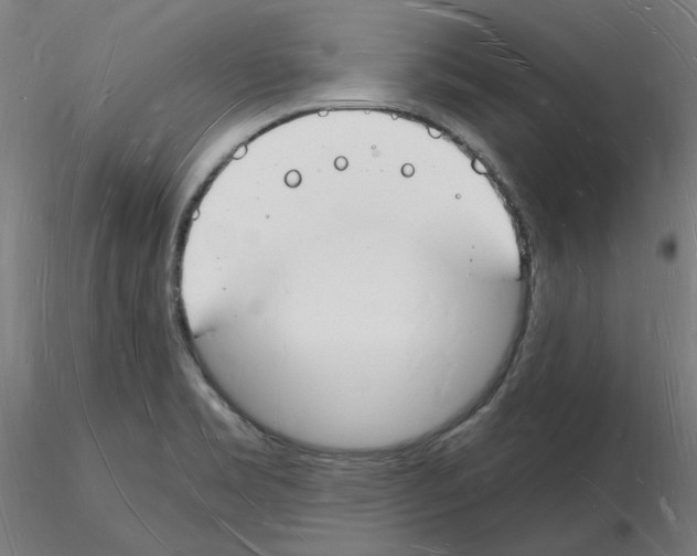X0000116131469201001041001