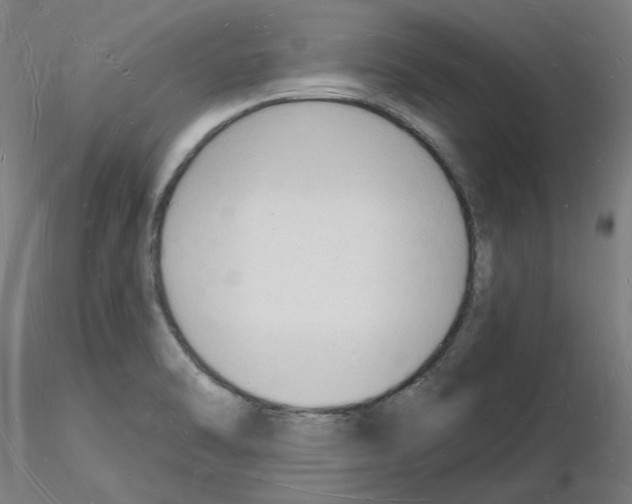 X0000116131470201001041001