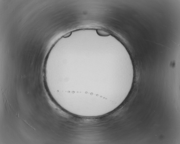 X0000116131471201001041001