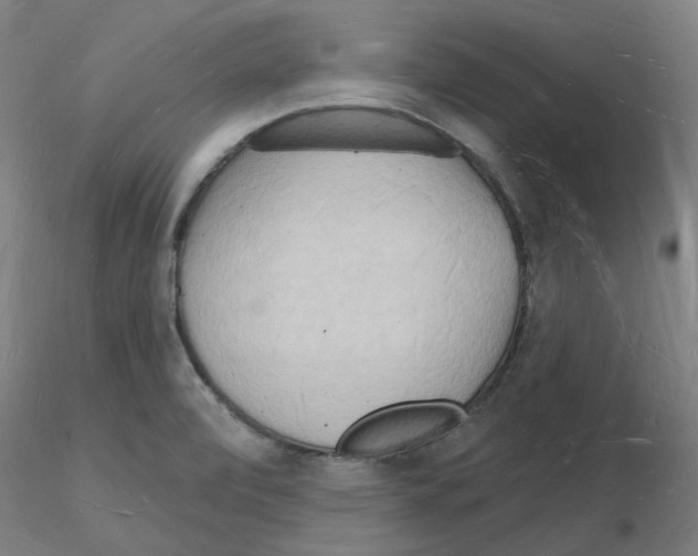 X0000116131472201001041001