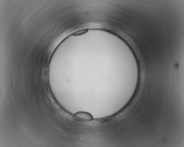 X0000116131473201001041001
