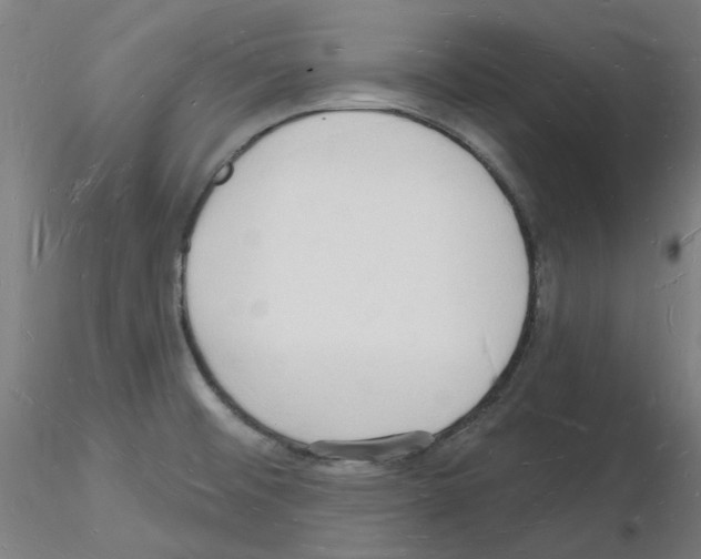 X0000116131476201001041001