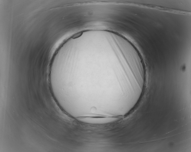 X0000116131477201001041001