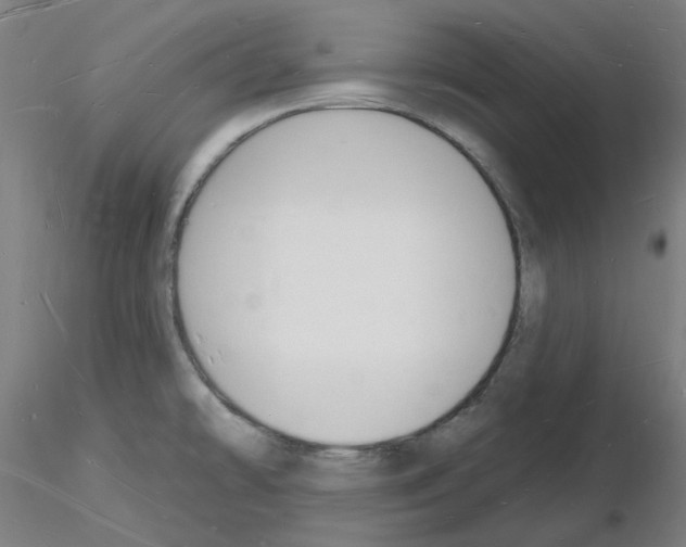 X0000116131478201001041001
