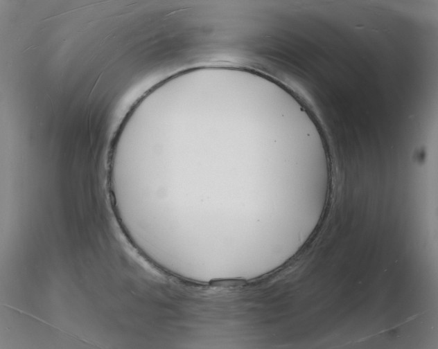 X0000116131480201001041001