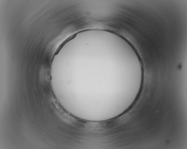 X0000116131481201001041001