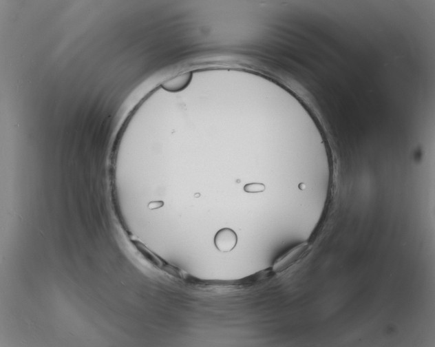 X0000116131482201001041001