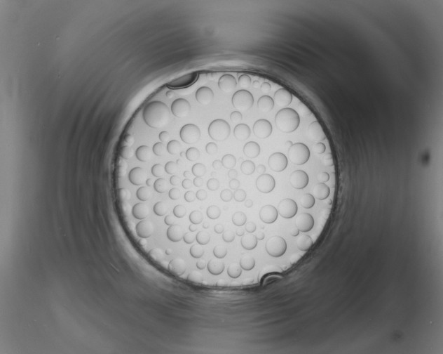 X0000116131483201001041001