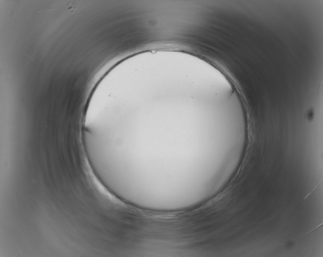 X0000116131484201001041001