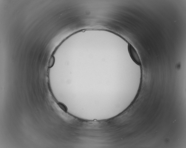 X0000116131485201001041001
