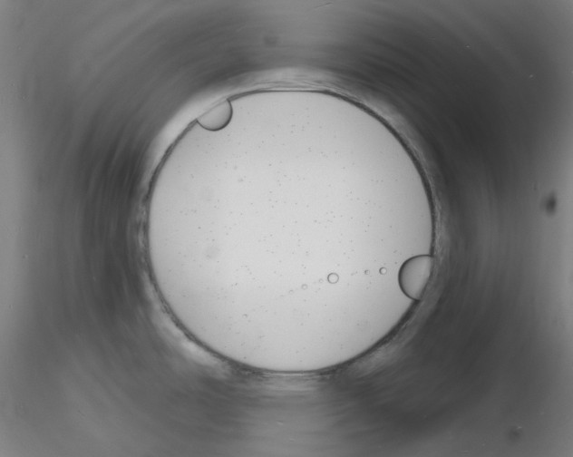 X0000116131486201001041001