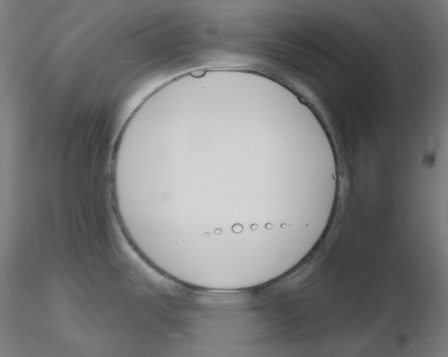 X0000116131487201001041001