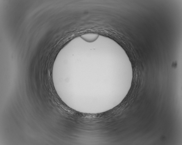 X0000116131489201001041000
