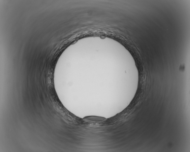 X0000116131490201001041000