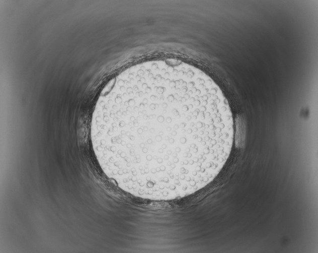 X0000116131491201001041000