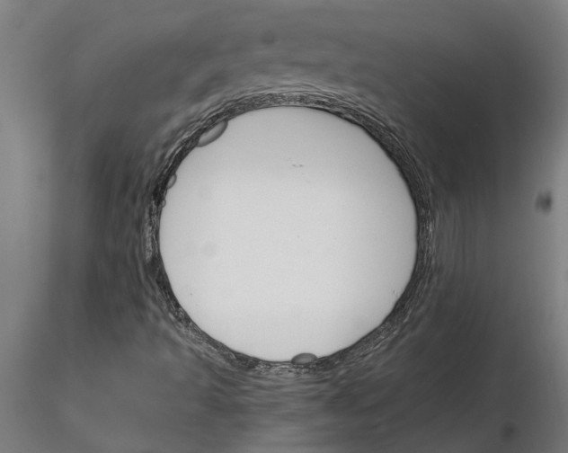 X0000116131493201001041000