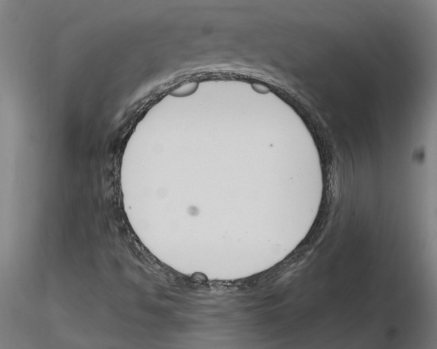 X0000116131494201001041000