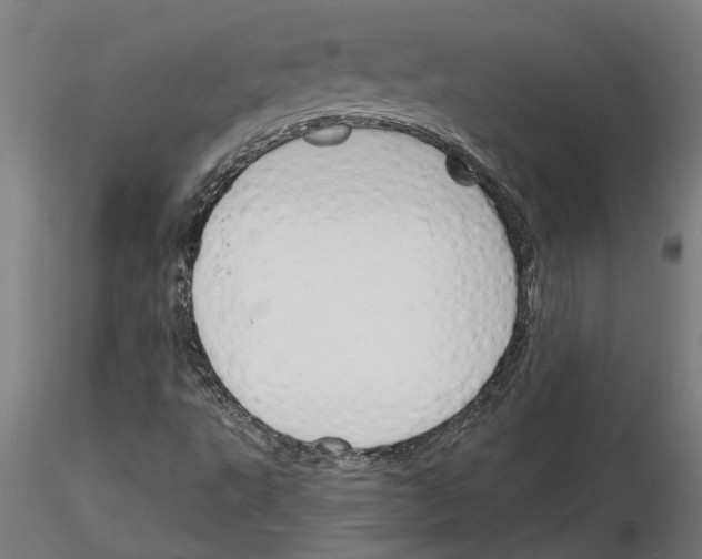 X0000116131495201001041000