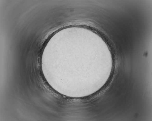 X0000116131497201001041000