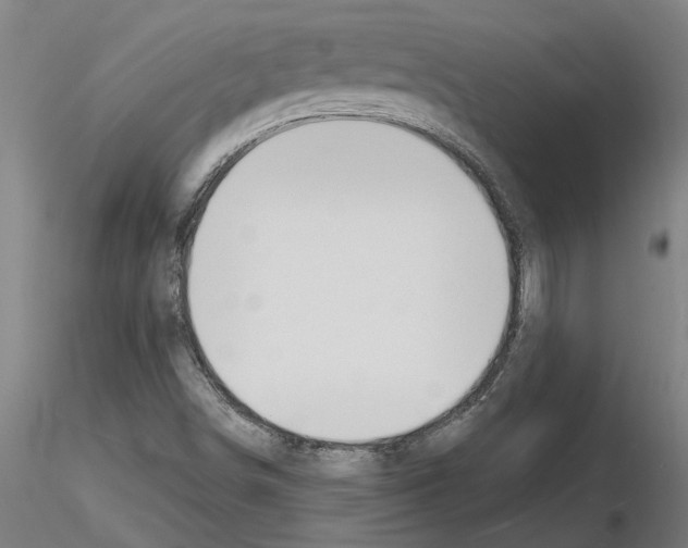 X0000116131498201001041000