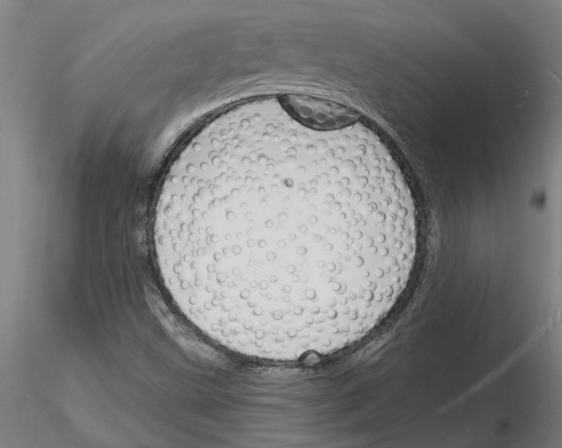X0000116131499201001041000