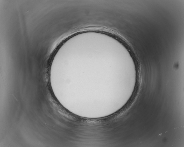 X0000116131501201001041000