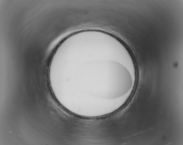 X0000116131502201001041000