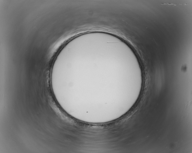 X0000116131503201001041000