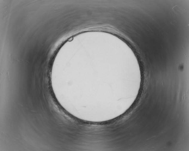 X0000116131506201001041000