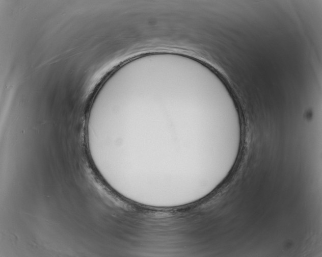 X0000116131507201001041000