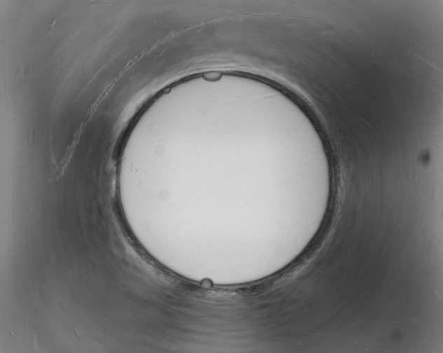 X0000116131509201001041000