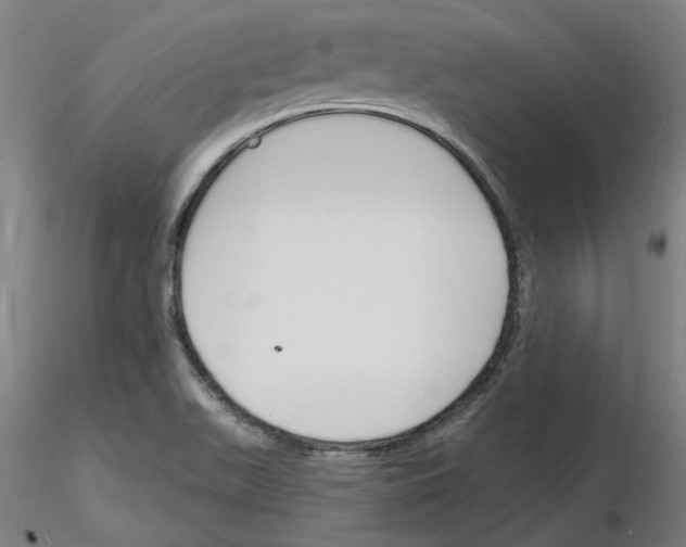 X0000116131511201001041000