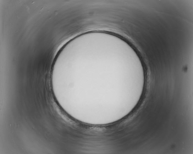 X0000116131513201001041001
