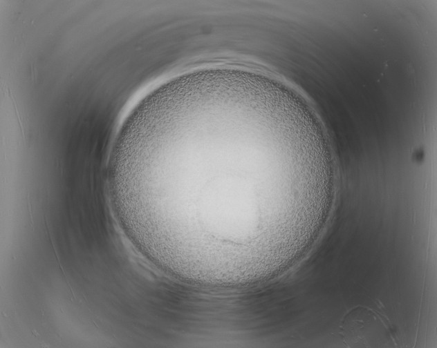 X0000116131514201001041001
