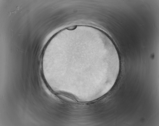 X0000116131515201001041001