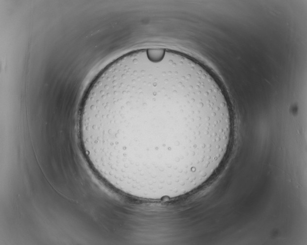 X0000116131517201001041001