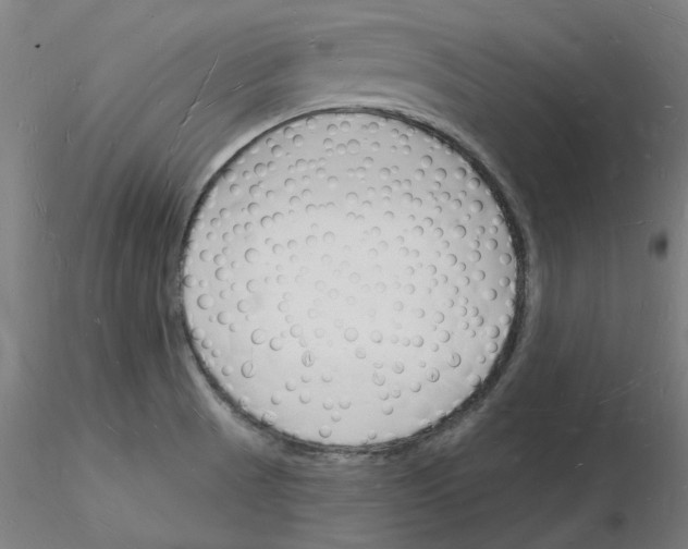 X0000116131521201001041001